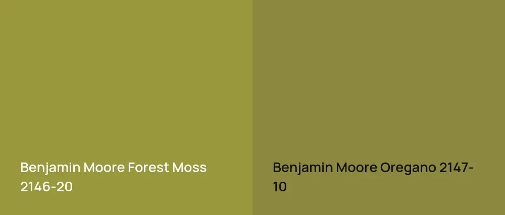 Benjamin Moore Forest Moss 2146-20 vs Benjamin Moore Oregano 2147-10