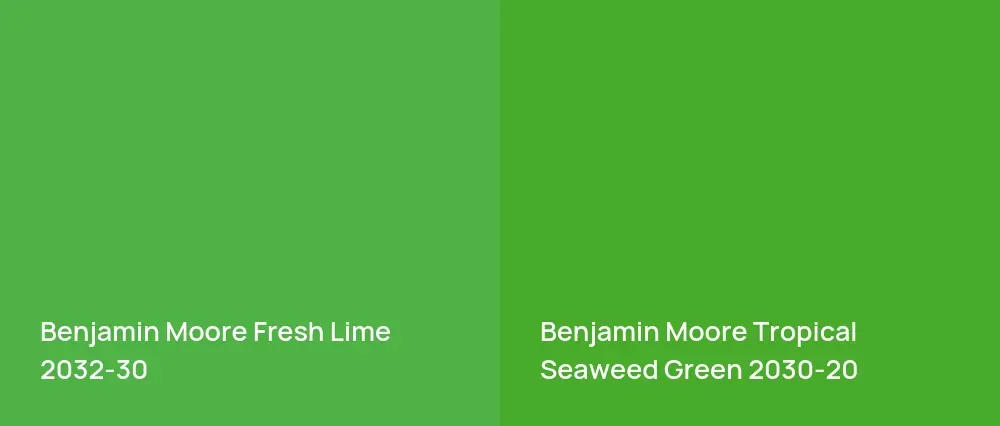 Benjamin Moore Fresh Lime 2032-30 vs Benjamin Moore Tropical Seaweed Green 2030-20