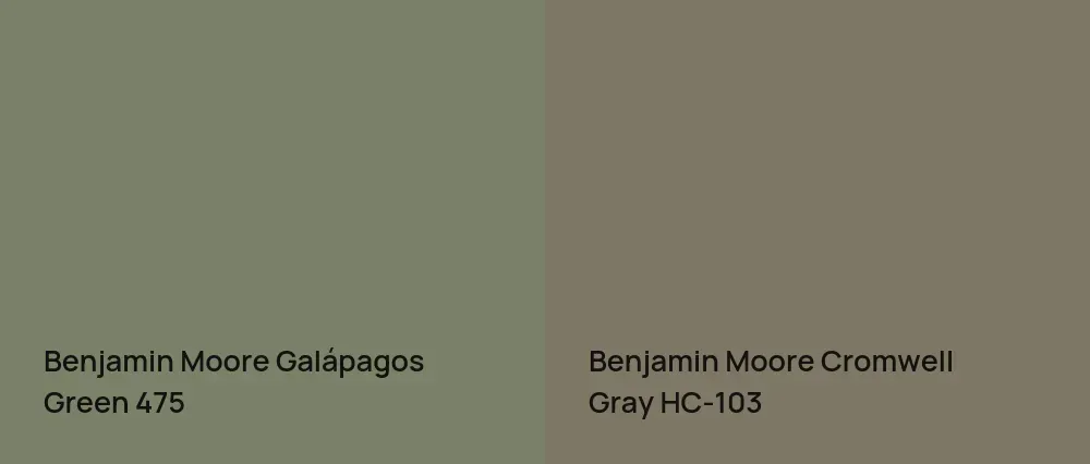 Benjamin Moore Galápagos Green 475 vs Benjamin Moore Cromwell Gray HC-103