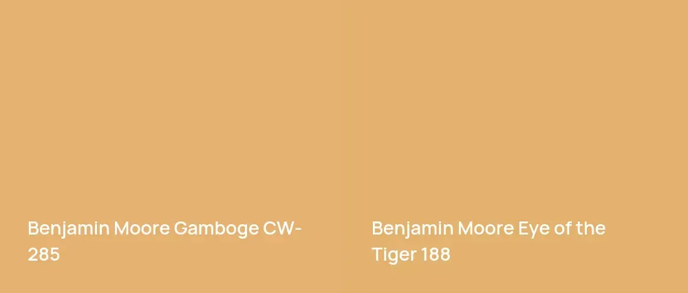 Benjamin Moore Gamboge CW-285 vs Benjamin Moore Eye of the Tiger 188