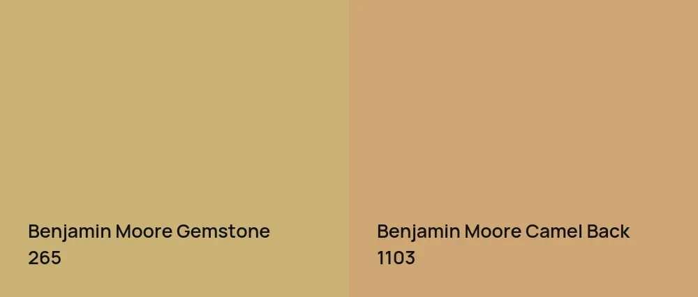Benjamin Moore Gemstone 265 vs Benjamin Moore Camel Back 1103