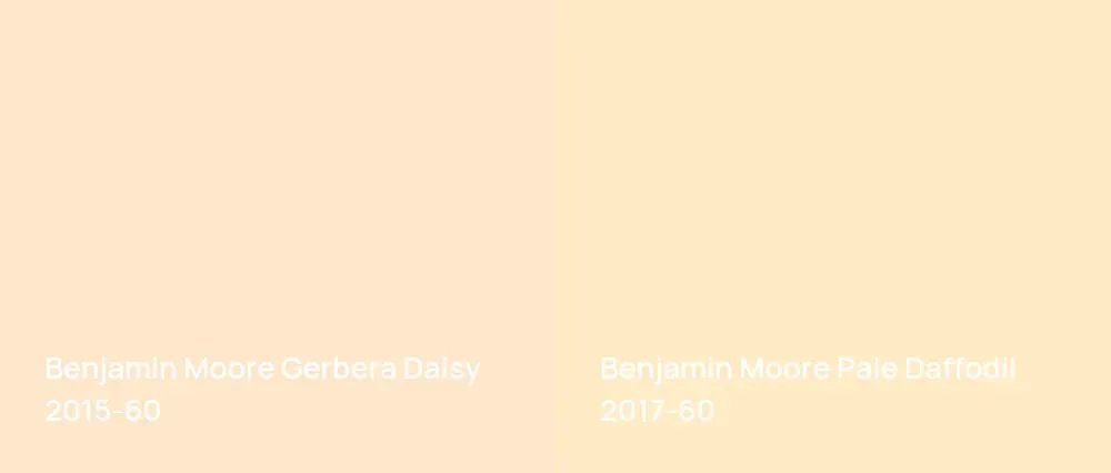 Benjamin Moore Gerbera Daisy 2015-60 vs Benjamin Moore Pale Daffodil 2017-60