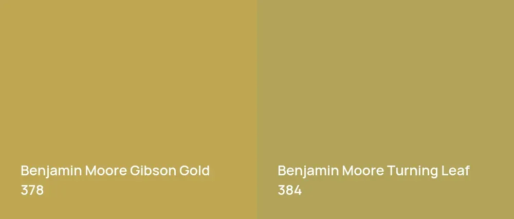Benjamin Moore Gibson Gold 378 vs Benjamin Moore Turning Leaf 384