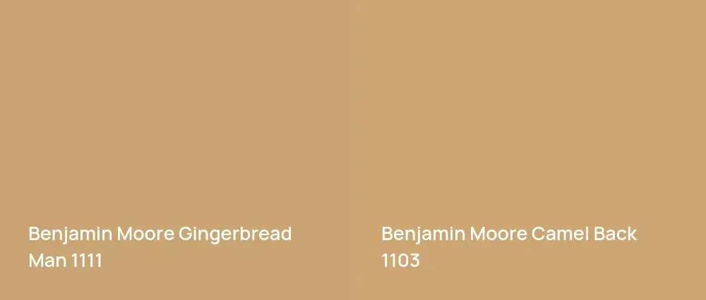 Benjamin Moore Gingerbread Man 1111 vs Benjamin Moore Camel Back 1103