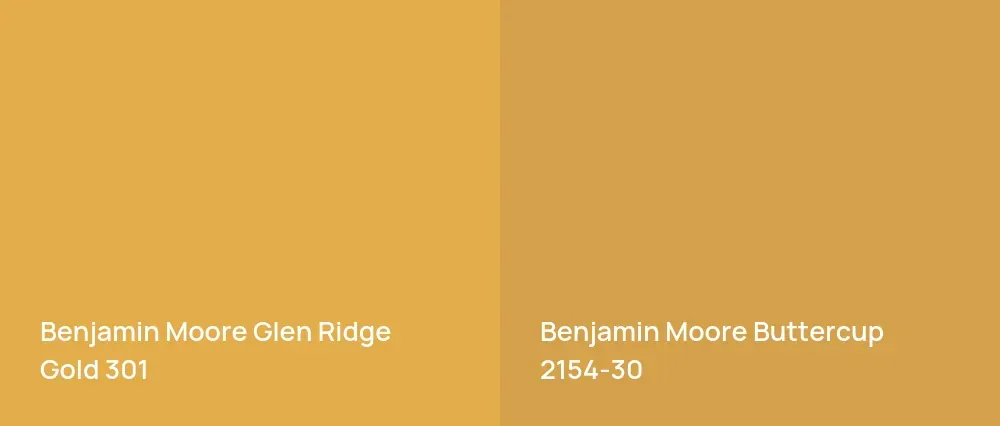 Benjamin Moore Glen Ridge Gold 301 vs Benjamin Moore Buttercup 2154-30