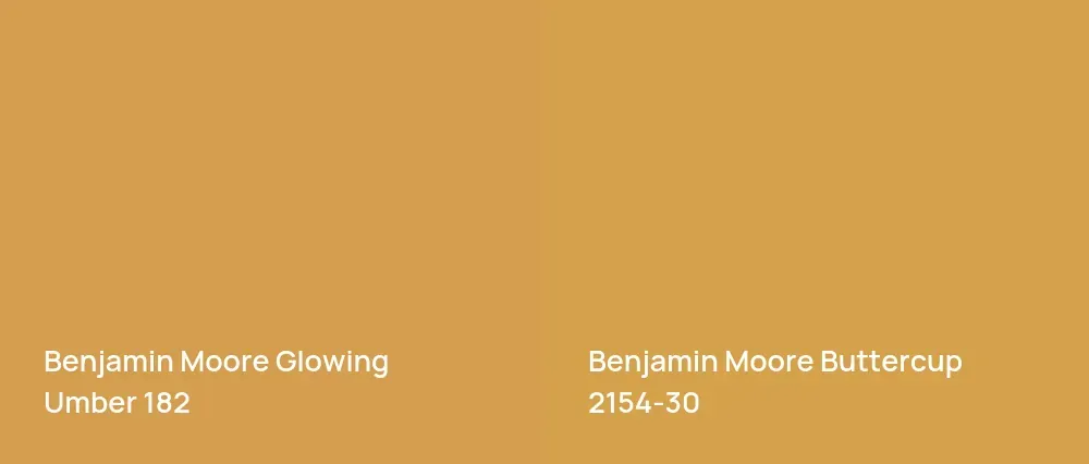 Benjamin Moore Glowing Umber 182 vs Benjamin Moore Buttercup 2154-30