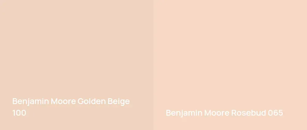 Benjamin Moore Golden Beige 100 vs Benjamin Moore Rosebud 065