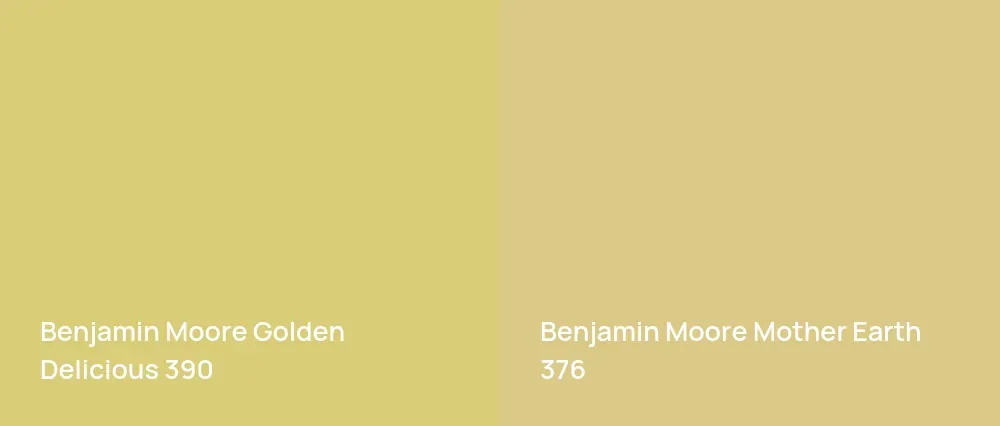 Benjamin Moore Golden Delicious 390 vs Benjamin Moore Mother Earth 376