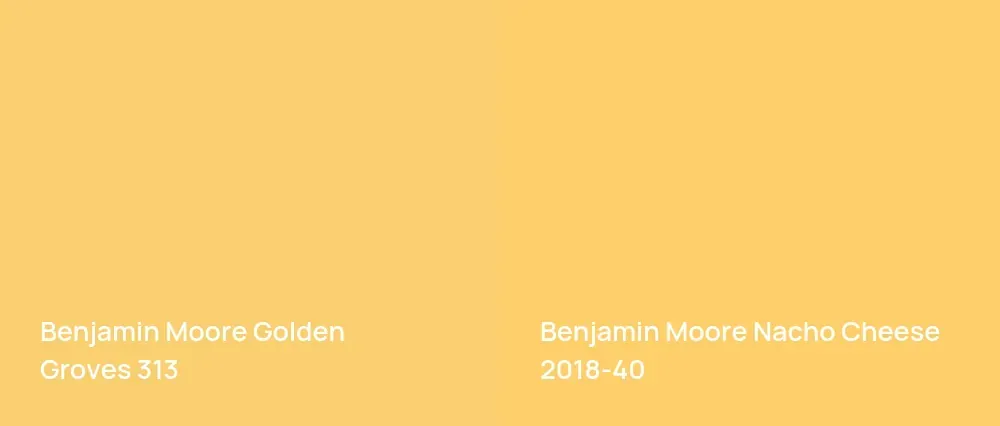 Benjamin Moore Golden Groves 313 vs Benjamin Moore Nacho Cheese 2018-40