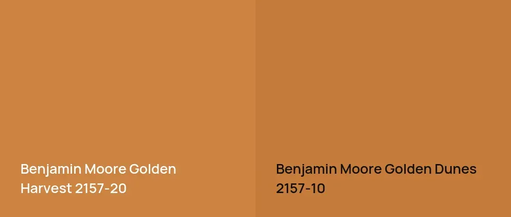 Benjamin Moore Golden Harvest 2157-20 vs Benjamin Moore Golden Dunes 2157-10