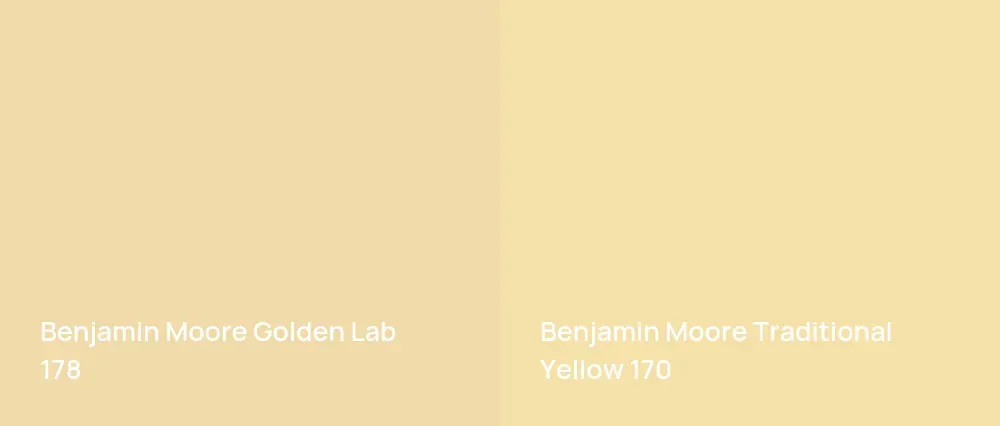 Benjamin Moore Golden Lab 178 vs Benjamin Moore Traditional Yellow 170