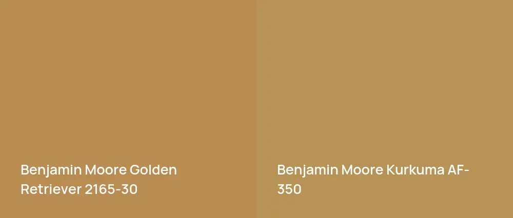 Benjamin Moore Golden Retriever 2165-30 vs Benjamin Moore Kurkuma AF-350