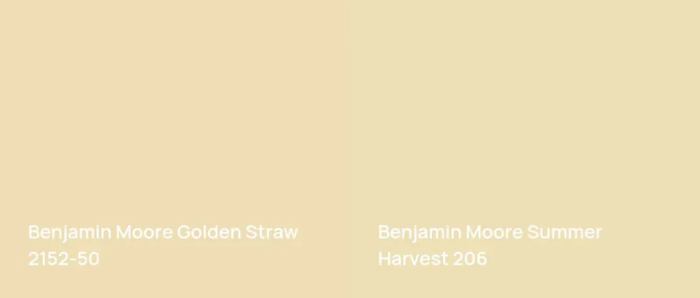 Benjamin Moore Golden Straw 2152-50 vs Benjamin Moore Summer Harvest 206