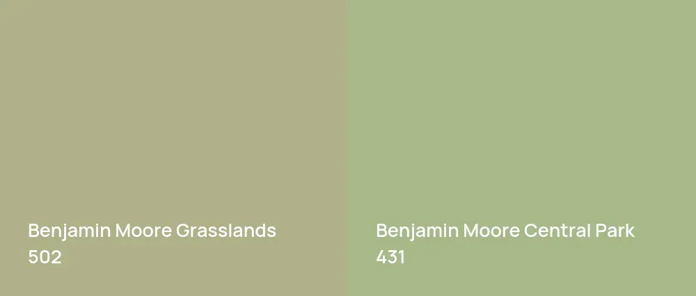 Benjamin Moore Grasslands 502 vs Benjamin Moore Central Park 431