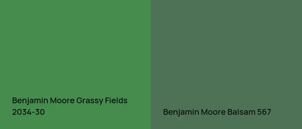 Benjamin Moore Grassy Fields 2034-30 vs Benjamin Moore Balsam 567