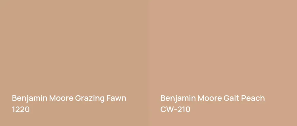 Benjamin Moore Grazing Fawn 1220 vs Benjamin Moore Galt Peach CW-210