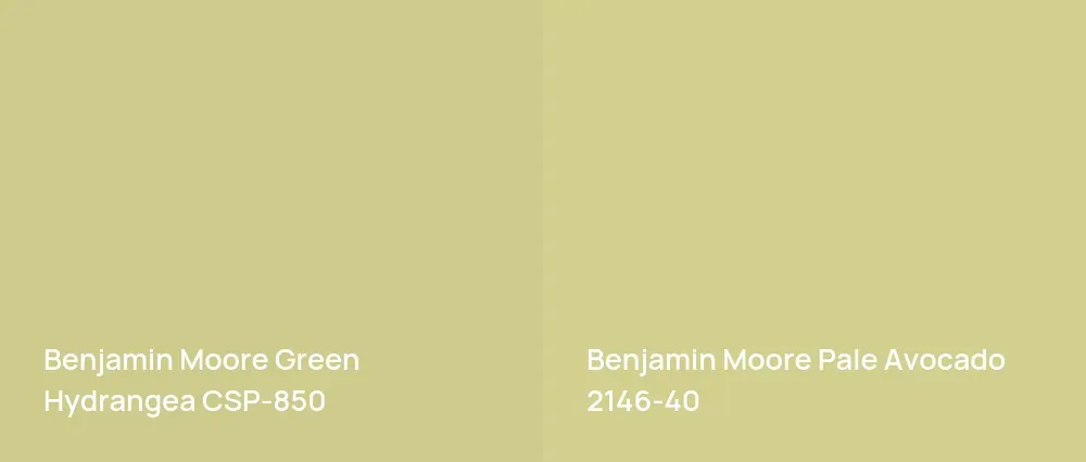 Benjamin Moore Green Hydrangea CSP-850 vs Benjamin Moore Pale Avocado 2146-40