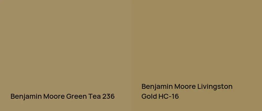 Benjamin Moore Green Tea 236 vs Benjamin Moore Livingston Gold HC-16