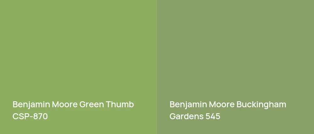 Benjamin Moore Green Thumb CSP-870 vs Benjamin Moore Buckingham Gardens 545