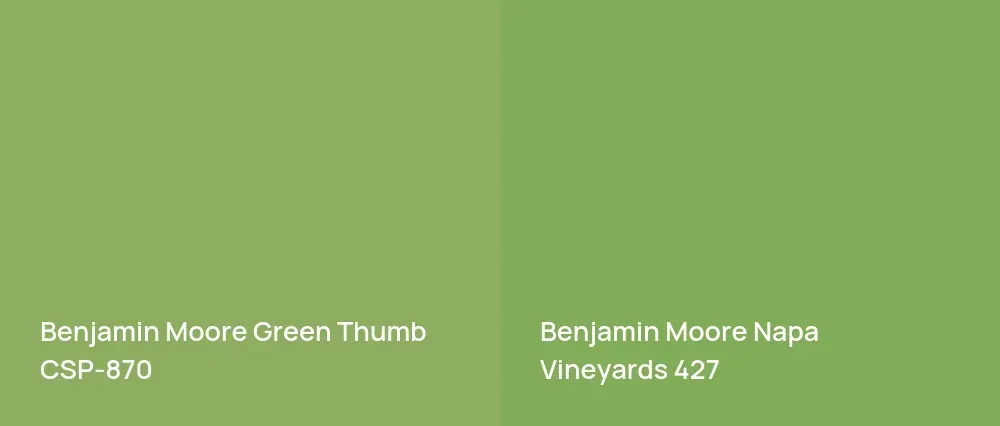 Benjamin Moore Green Thumb CSP-870 vs Benjamin Moore Napa Vineyards 427