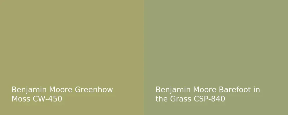 Benjamin Moore Greenhow Moss CW-450 vs Benjamin Moore Barefoot in the Grass CSP-840