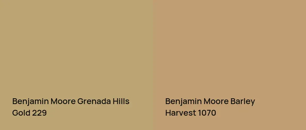 Benjamin Moore Grenada Hills Gold 229 vs Benjamin Moore Barley Harvest 1070