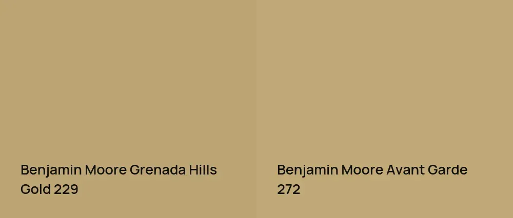 Benjamin Moore Grenada Hills Gold 229 vs Benjamin Moore Avant Garde 272