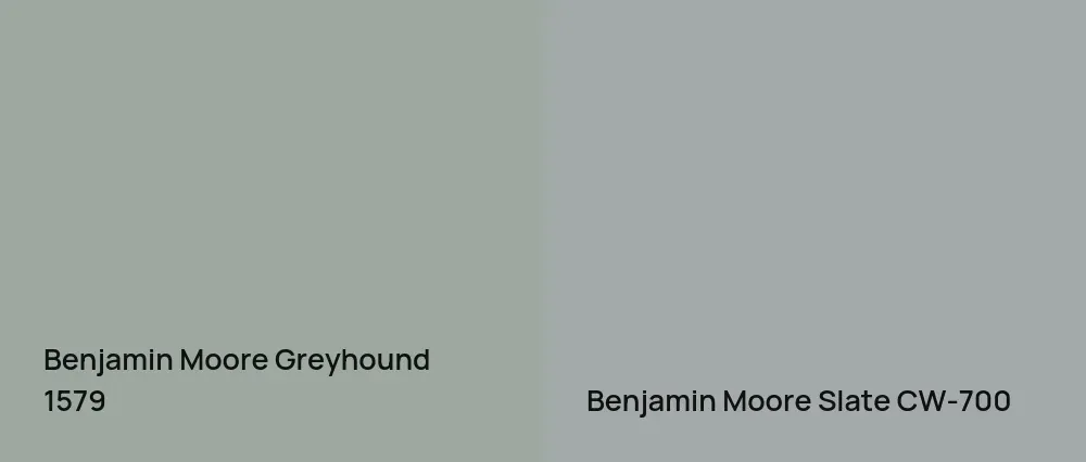 Benjamin Moore Greyhound 1579 vs Benjamin Moore Slate CW-700