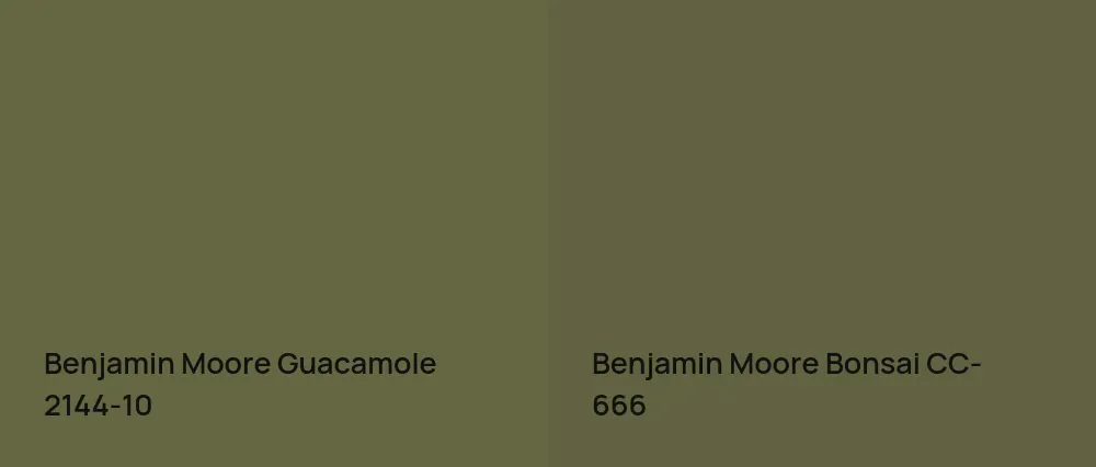 Benjamin Moore Guacamole 2144-10 vs Benjamin Moore Bonsai CC-666