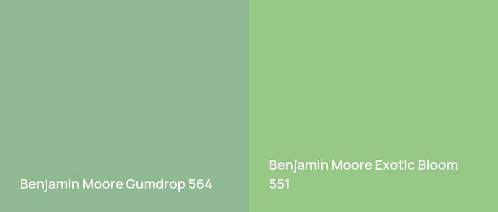 Benjamin Moore Gumdrop 564 vs Benjamin Moore Exotic Bloom 551
