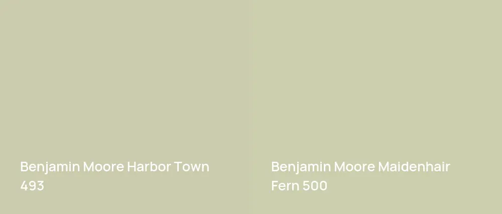 Benjamin Moore Harbor Town 493 vs Benjamin Moore Maidenhair Fern 500