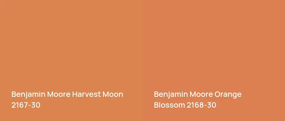 Benjamin Moore Harvest Moon 2167-30 vs Benjamin Moore Orange Blossom 2168-30