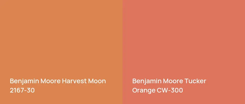 Benjamin Moore Harvest Moon 2167-30 vs Benjamin Moore Tucker Orange CW-300