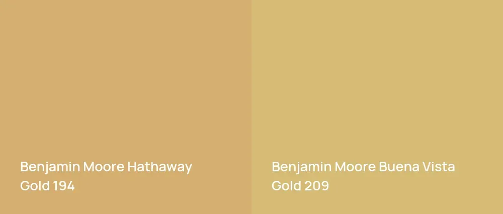 Benjamin Moore Hathaway Gold 194 vs Benjamin Moore Buena Vista Gold 209