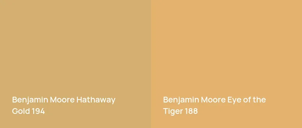 Benjamin Moore Hathaway Gold 194 vs Benjamin Moore Eye of the Tiger 188