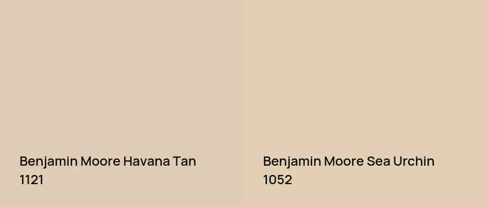 Benjamin Moore Havana Tan 1121 vs Benjamin Moore Sea Urchin 1052