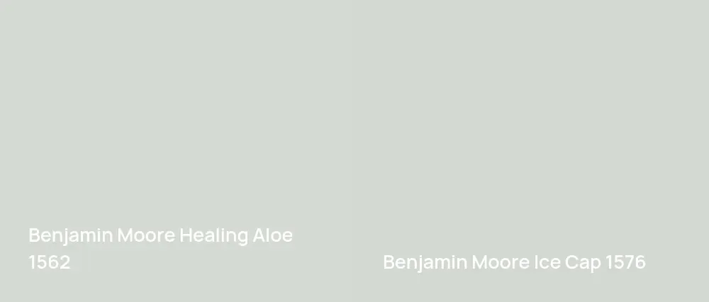 Benjamin Moore Healing Aloe 1562 vs Benjamin Moore Ice Cap 1576