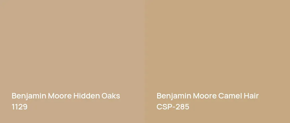 Benjamin Moore Hidden Oaks 1129 vs Benjamin Moore Camel Hair CSP-285