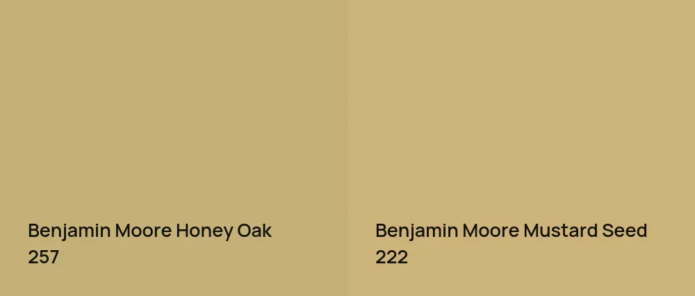Benjamin Moore Honey Oak 257 vs Benjamin Moore Mustard Seed 222