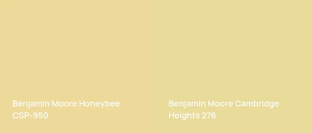 Benjamin Moore Honeybee CSP-950 vs Benjamin Moore Cambridge Heights 276