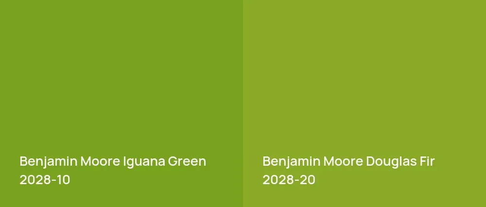 Benjamin Moore Iguana Green 2028-10 vs Benjamin Moore Douglas Fir 2028-20