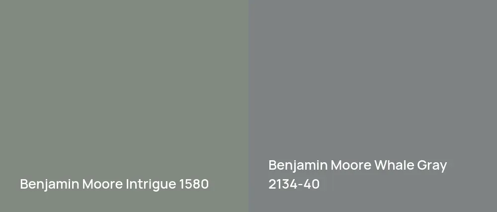 Benjamin Moore Intrigue 1580 vs Benjamin Moore Whale Gray 2134-40