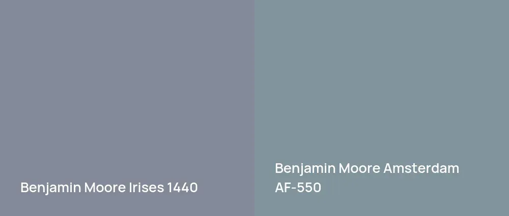 Benjamin Moore Irises 1440 vs Benjamin Moore Amsterdam AF-550
