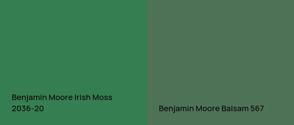 Benjamin Moore Irish Moss 2036-20 vs Benjamin Moore Balsam 567