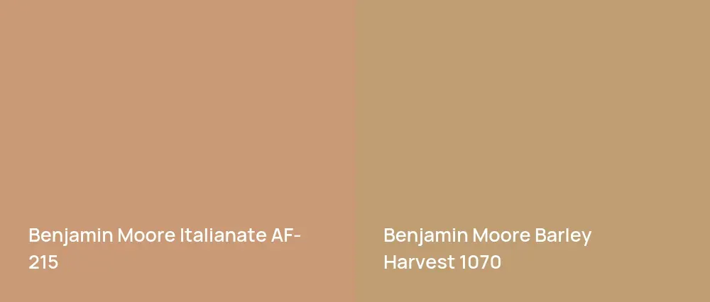 Benjamin Moore Italianate AF-215 vs Benjamin Moore Barley Harvest 1070