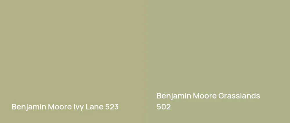 Benjamin Moore Ivy Lane 523 vs Benjamin Moore Grasslands 502