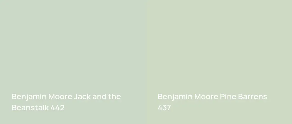 Benjamin Moore Jack and the Beanstalk 442 vs Benjamin Moore Pine Barrens 437