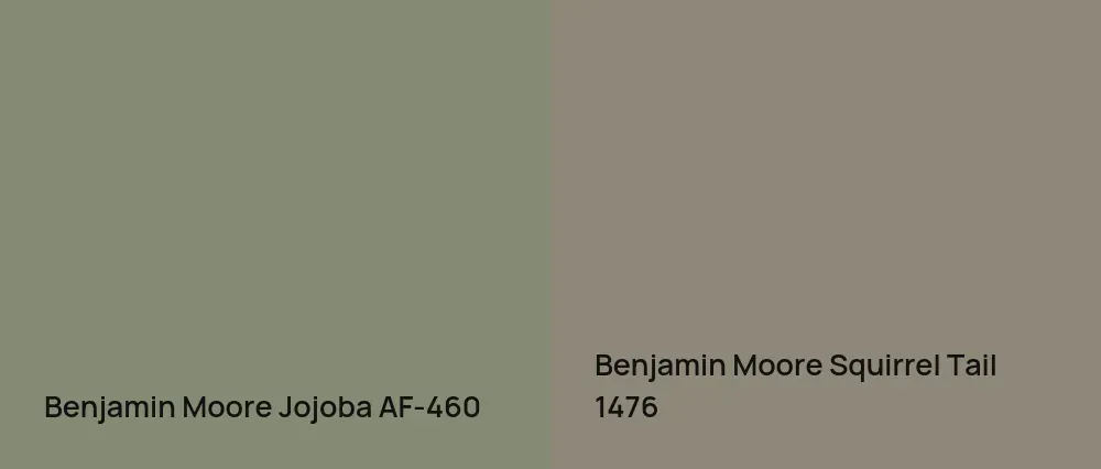 Benjamin Moore Jojoba AF-460 vs Benjamin Moore Squirrel Tail 1476