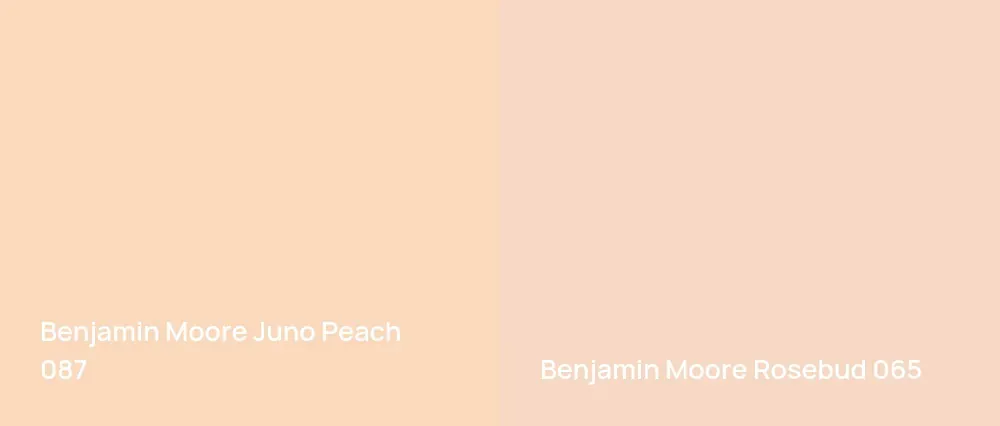 Benjamin Moore Juno Peach 087 vs Benjamin Moore Rosebud 065