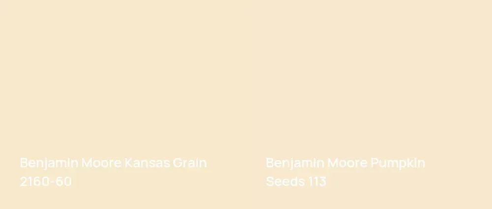Benjamin Moore Kansas Grain 2160-60 vs Benjamin Moore Pumpkin Seeds 113